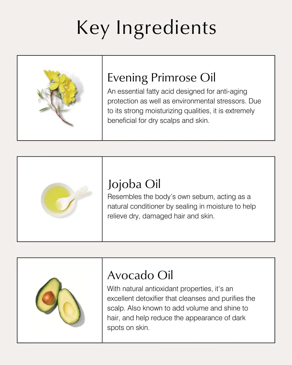 Dry Hair Collection - John Master Organics UK