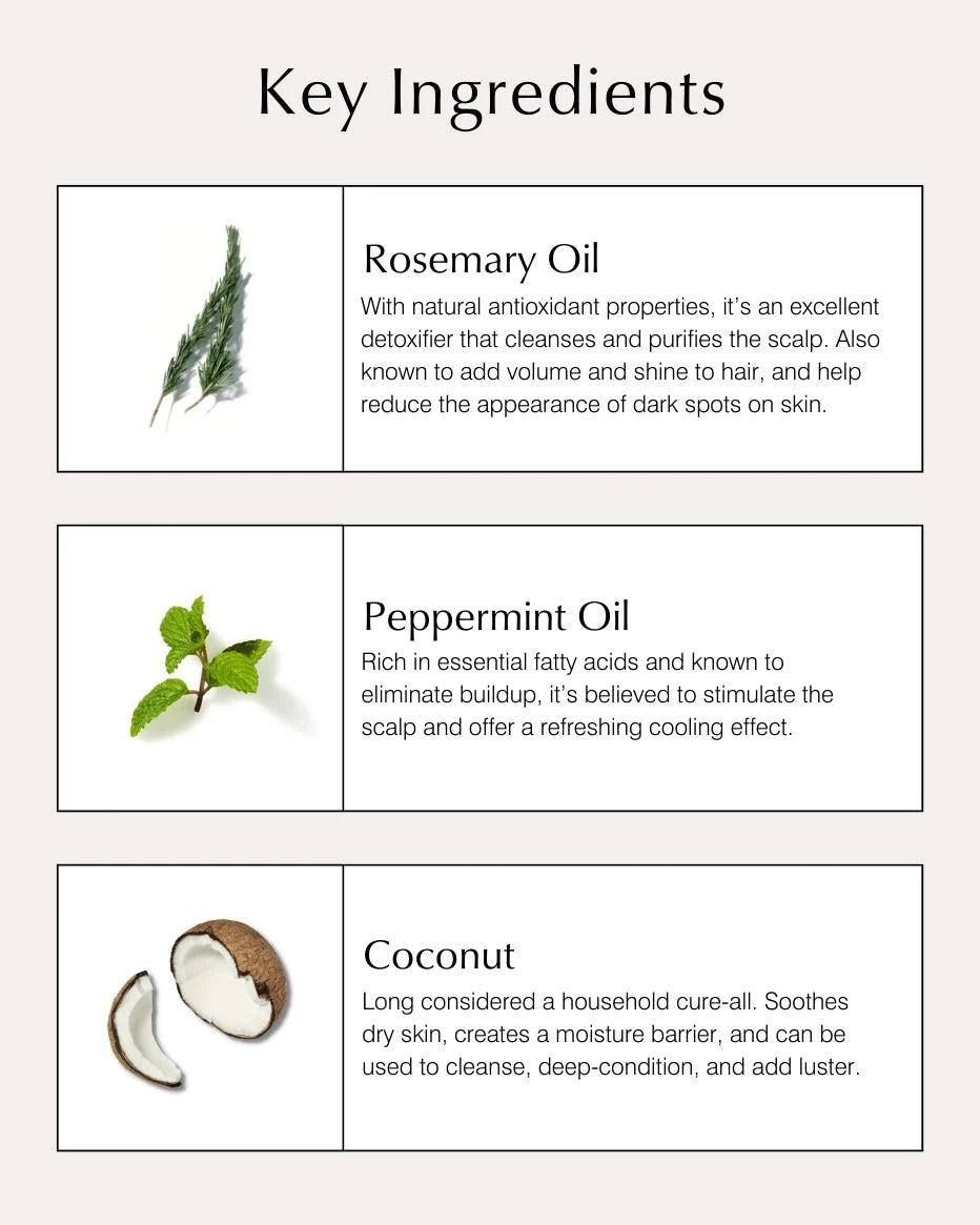 Fine Hair Collection - John Master Organics UK