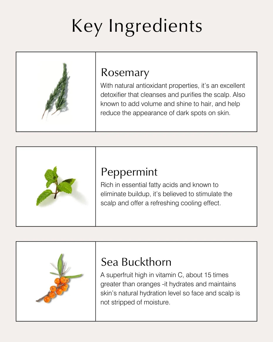 Volumizing Conditioner with Rosemary & Peppermint - John Master Organics UK