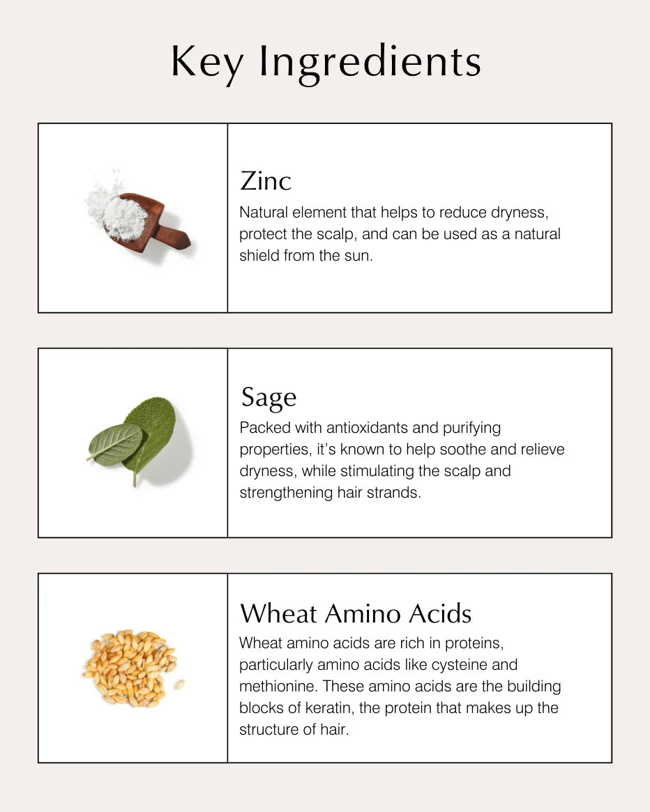 Scalp Conditioning Shampoo with Zinc & Sage - John Master Organics UK