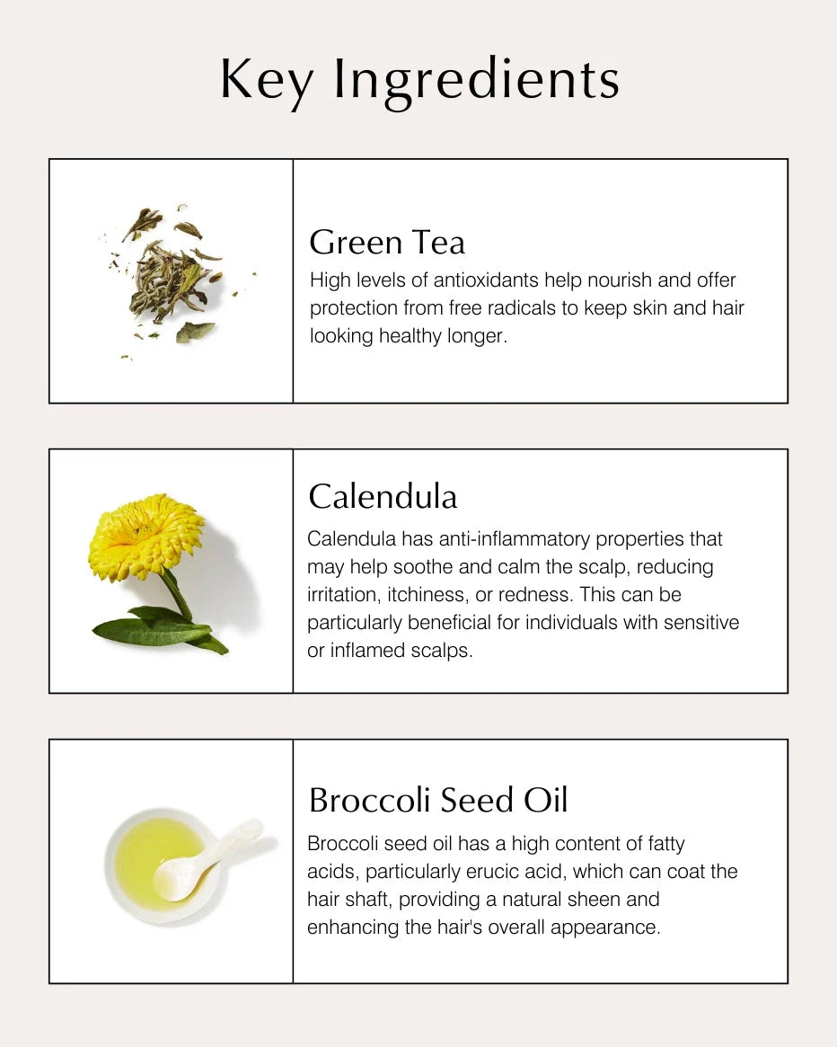 Fine Hair Collection - John Master Organics UK