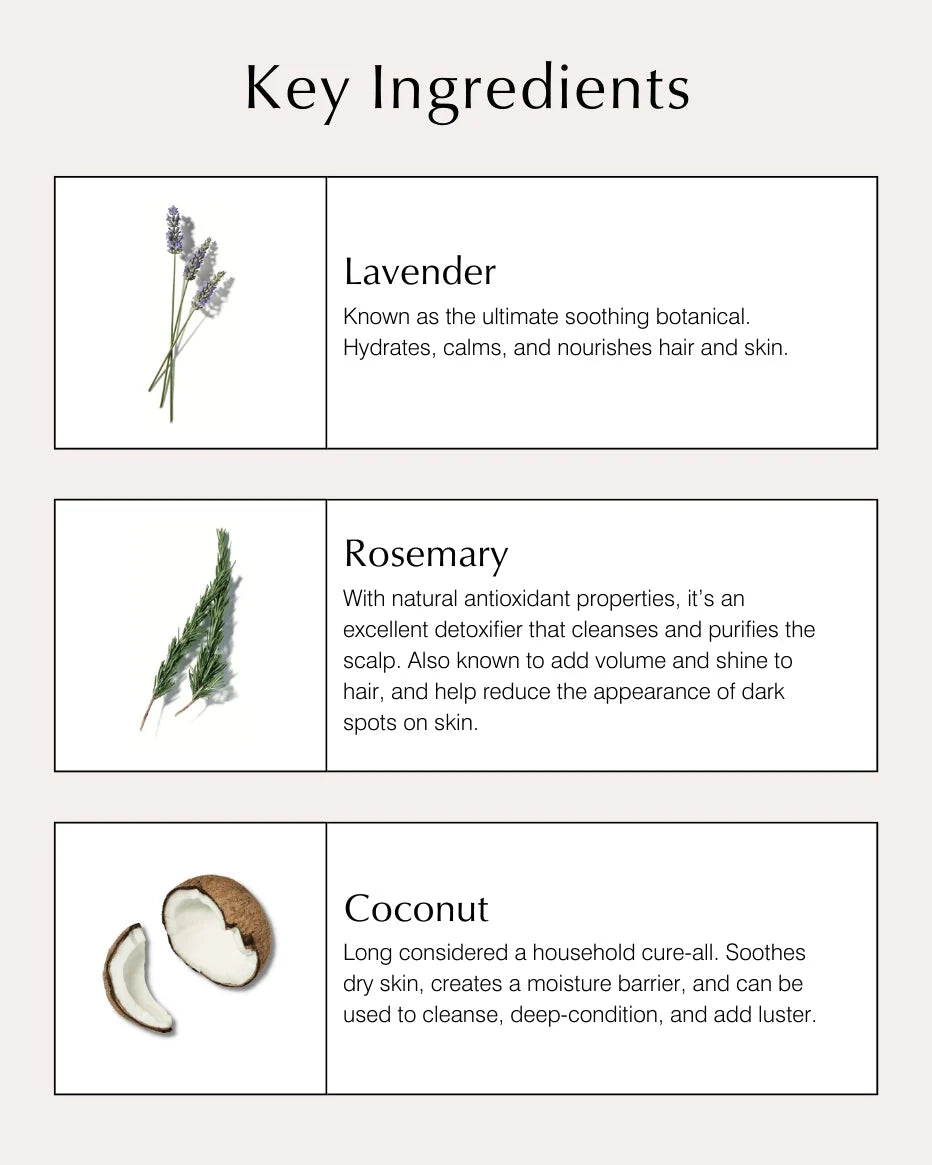 Daily Nourishing Shampoo with Lavender & Rosemary - John Master Organics UK