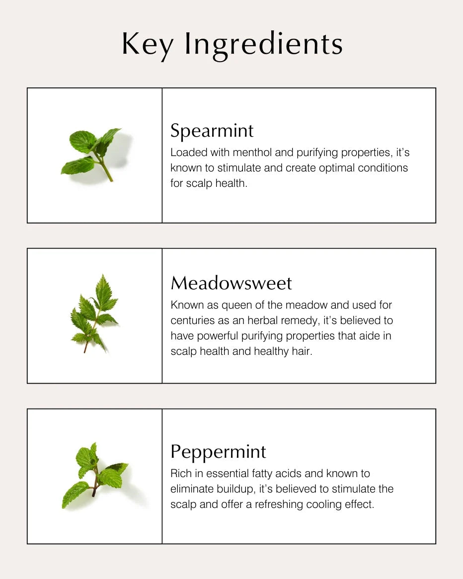 Scalp Purifying Serum with Spearmint & Meadowsweet - John Master Organics UK