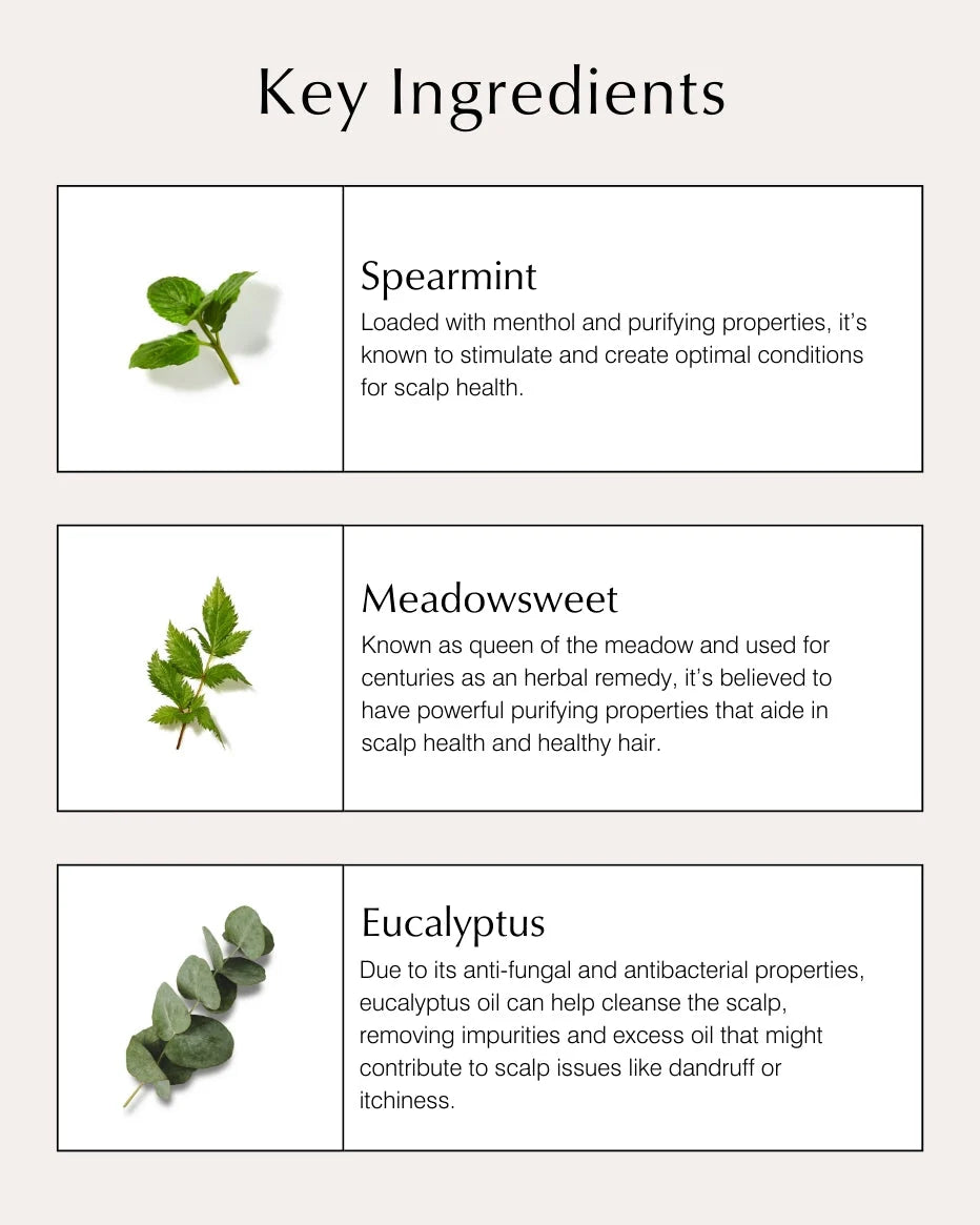 Scalp Care Collection - John Master Organics UK