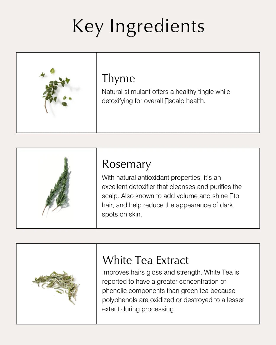 Scalp Follicle Treatment & Volumizer - John Master Organics UK