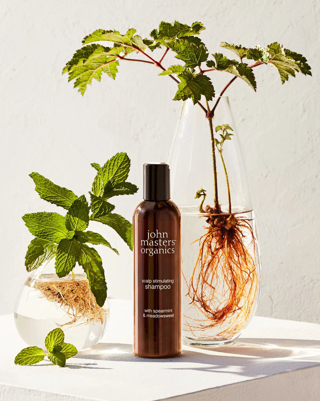 Scalp Stimulating Shampoo with Spearmint & Meadowsweet - John Master Organics UK