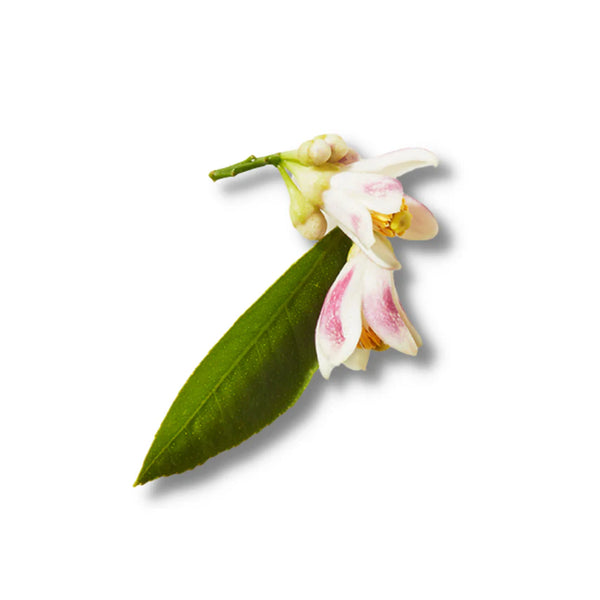Neroli