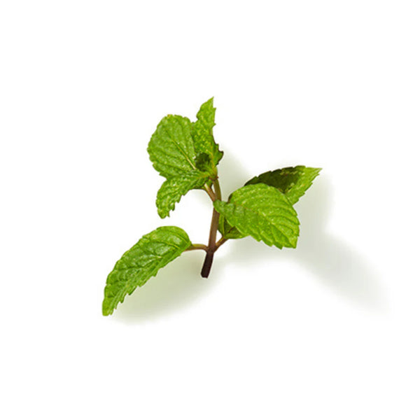 Peppermint