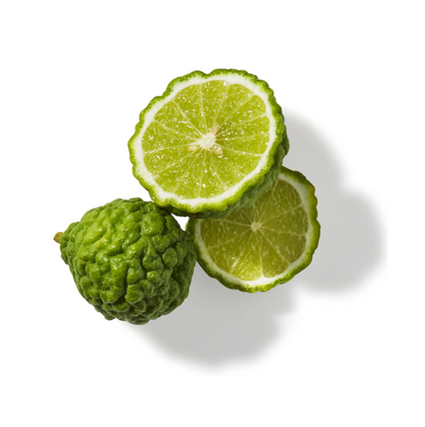 Bergamot