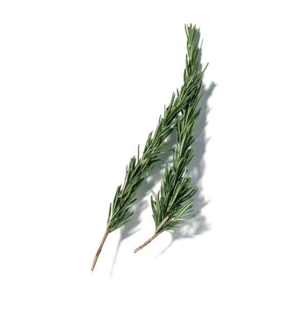 Rosemary