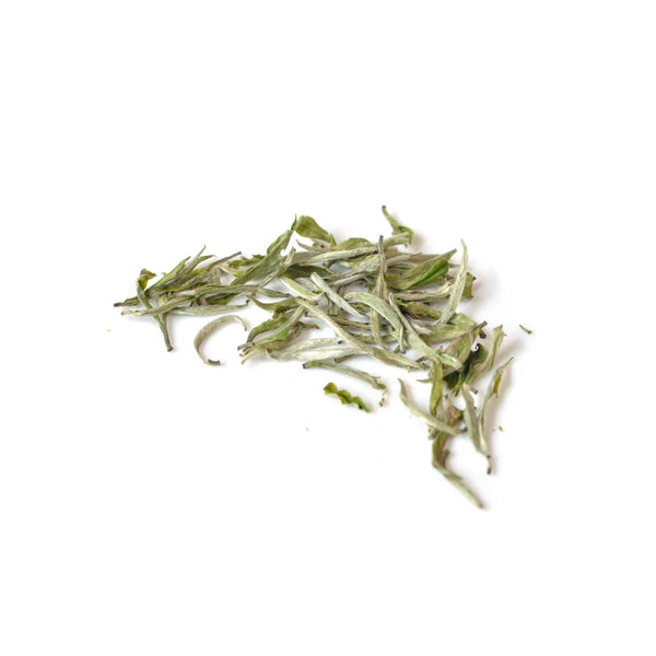 White Tea Extract
